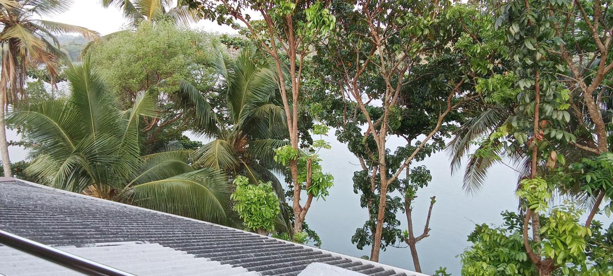 The Green Lagoon Villa Hikkaduwa Ngoại thất bức ảnh