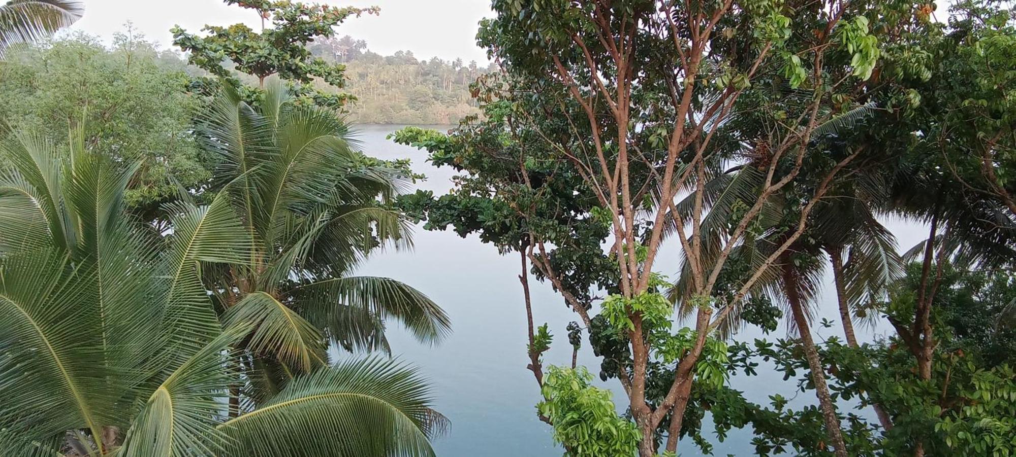 The Green Lagoon Villa Hikkaduwa Ngoại thất bức ảnh