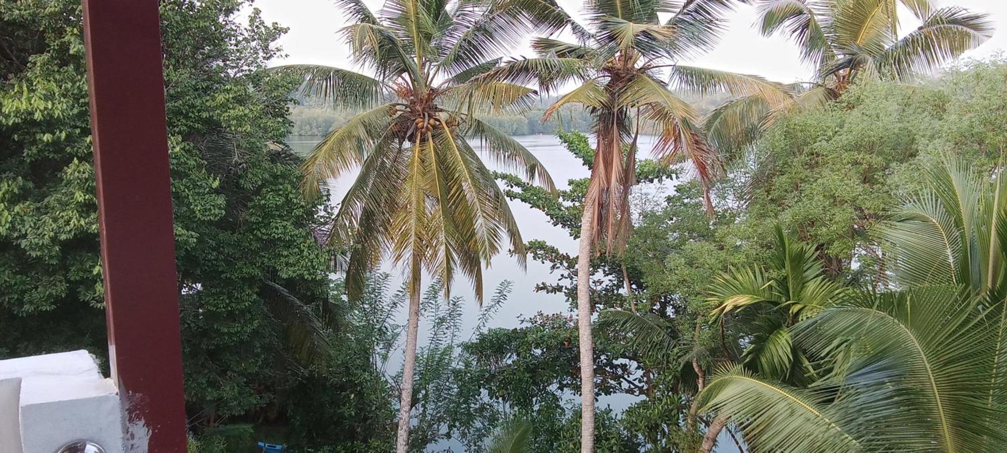 The Green Lagoon Villa Hikkaduwa Ngoại thất bức ảnh