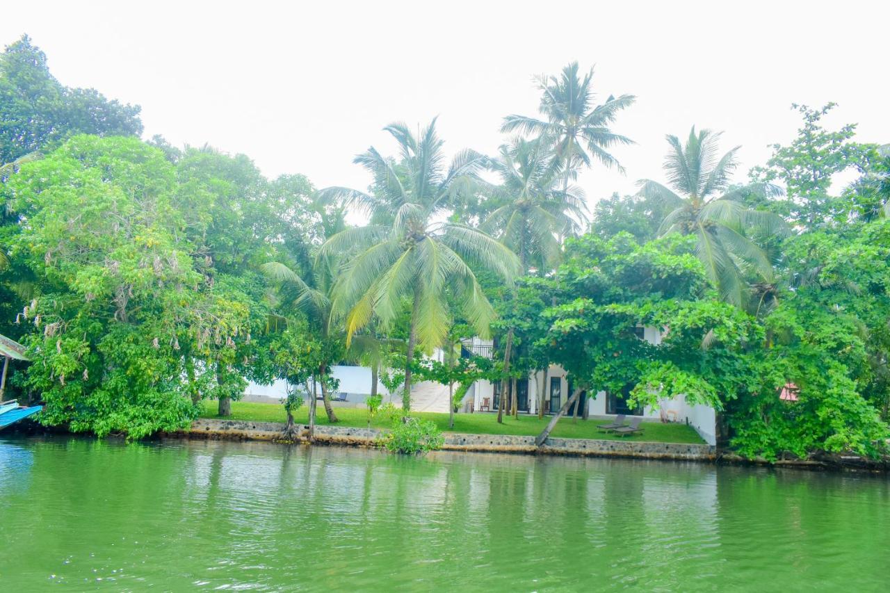 The Green Lagoon Villa Hikkaduwa Ngoại thất bức ảnh